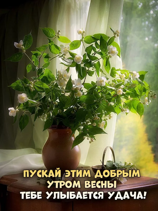 Красивые весенние картинки Доброго утра. Доброе утро весны картинки красивые