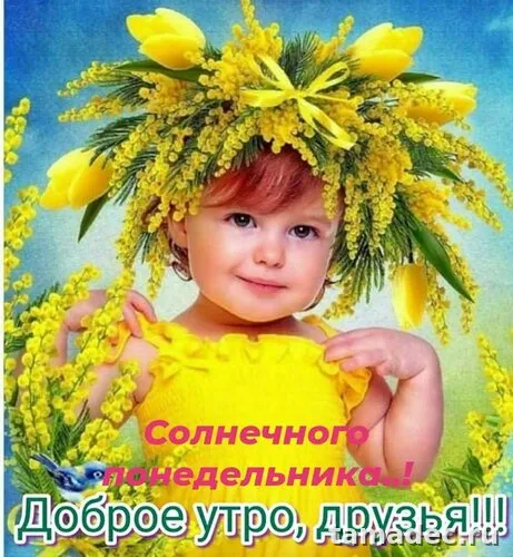 Картинки доброе утро понедельника. Доброго утра понедельника картинки с пожеланиями