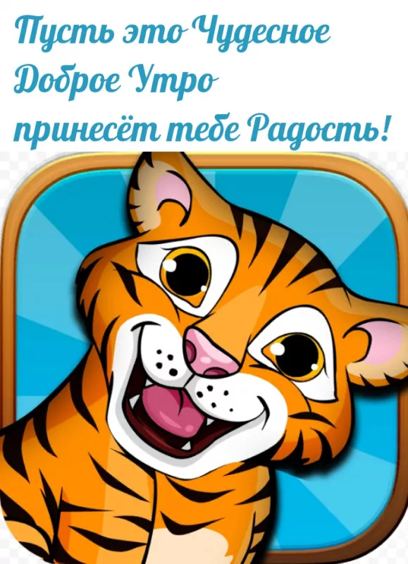 Картинки котиков с добрым утром. Котики с добрым утром картинки котиков