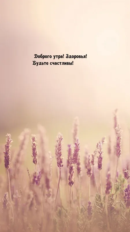 Картинки Доброго здоровья. Красивая картинка с пожеланиями доброго здоровья