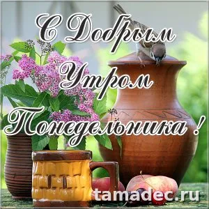 Картинки доброе утро понедельника. Доброе утро и хорошего понедельника картинки