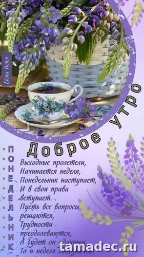 Картинки доброе утро понедельника. Доброе утро и хорошего понедельника картинки