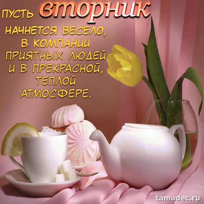 Картинки Доброго утра вторника. Доброе утро вторника картинки красивые