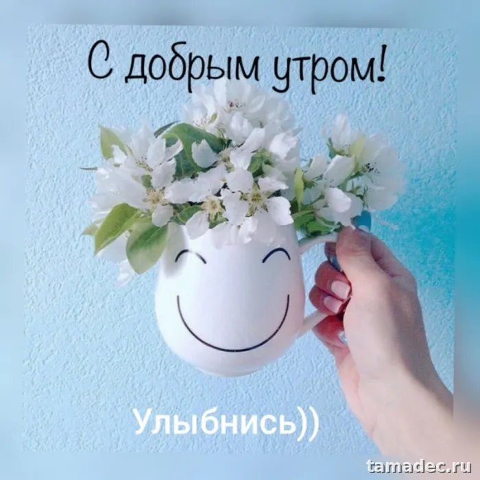 Картинки Доброго утра вторника. Доброе утро хорошего вторника