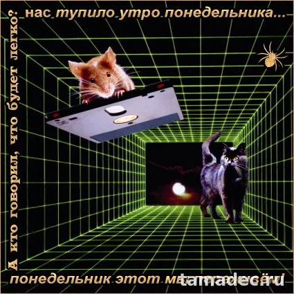 Картинки доброе утро понедельника. Доброе утро понедельника картинки красивые