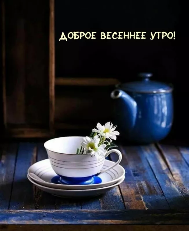 Красивые весенние картинки Доброго утра. Картинки Доброе утро весна