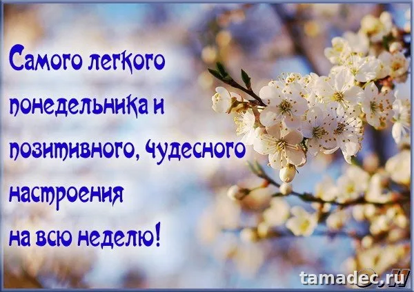 Картинки доброе утро понедельника. Доброго утра понедельника картинки с пожеланиями