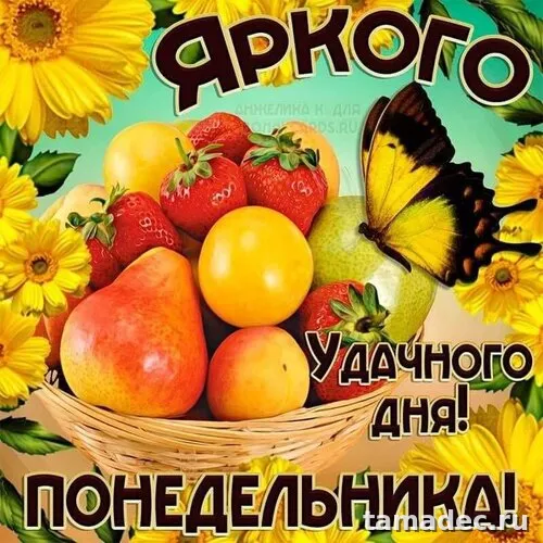 Картинки доброе утро понедельника. Доброго утра понедельника картинки с пожеланиями
