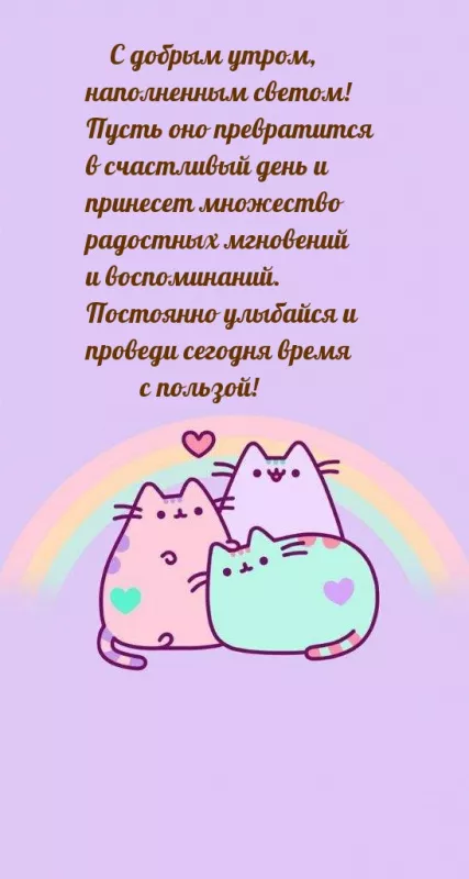 Картинки котиков с добрым утром. Картинки &nbsp;"Доброе утро котик"