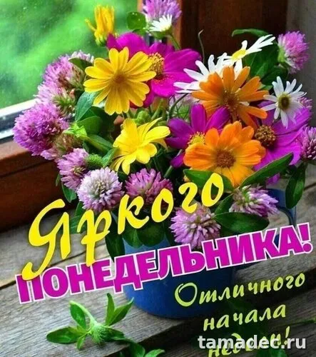 Картинки доброе утро понедельника. Доброго утра понедельника картинки с пожеланиями