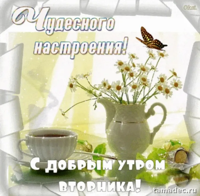 Картинки Доброго утра вторника. Доброе утро вторника картинки красивые