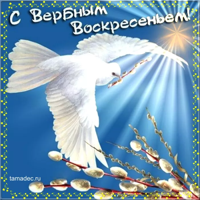 Картинки с вербным воскресеньем