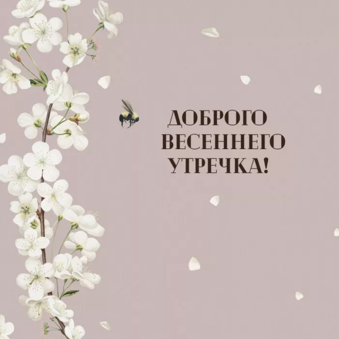 Красивые весенние картинки Доброго утра. Картинки доброе утро хорошего дня весенние