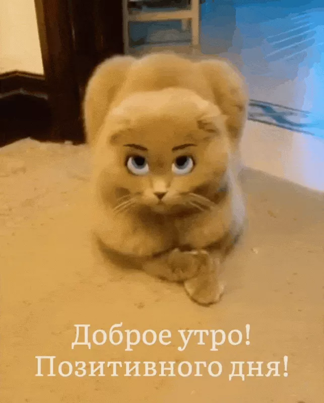 Красивые весенние картинки Доброго утра. Картинки доброе утро хорошего дня весенние