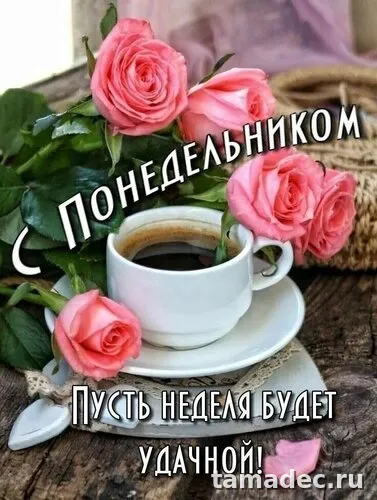 Картинки доброе утро понедельника. Доброе утро и хорошего понедельника картинки