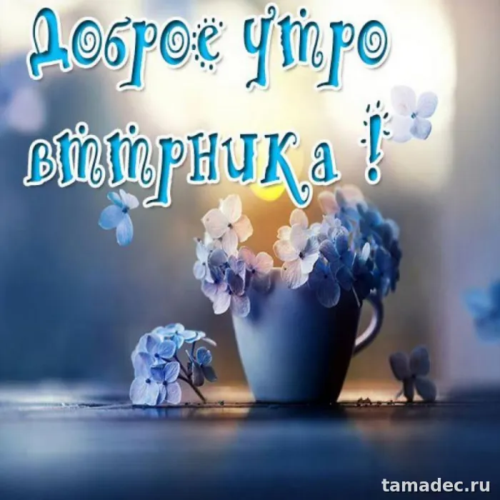 Картинки Доброго утра вторника. Доброе утро вторника картинки красивые