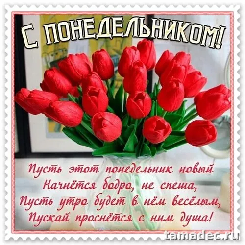Картинки доброе утро понедельника. Доброе утро и хорошего понедельника картинки