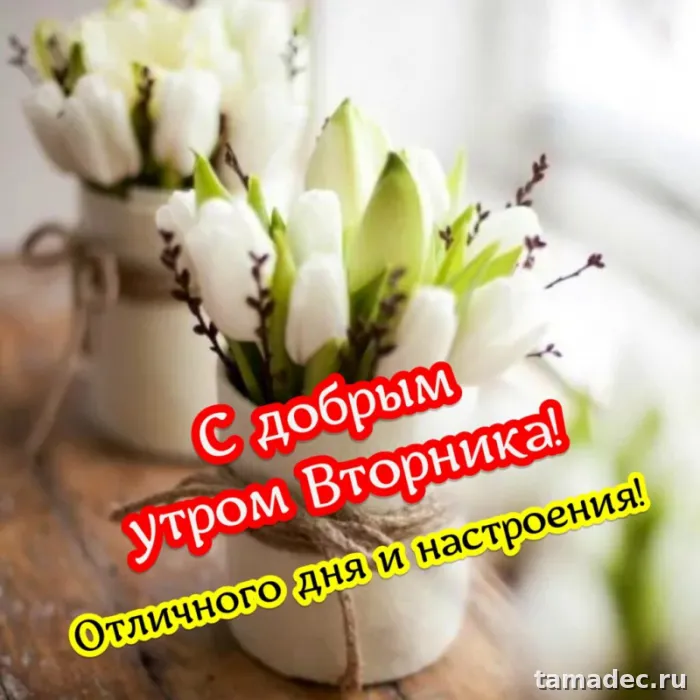 Картинки Доброго утра вторника. Доброе утро хорошего вторника