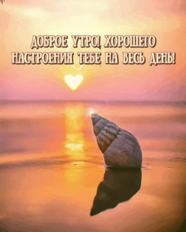 Красивые весенние картинки Доброго утра. Доброе утро картинки красивые новые весенние