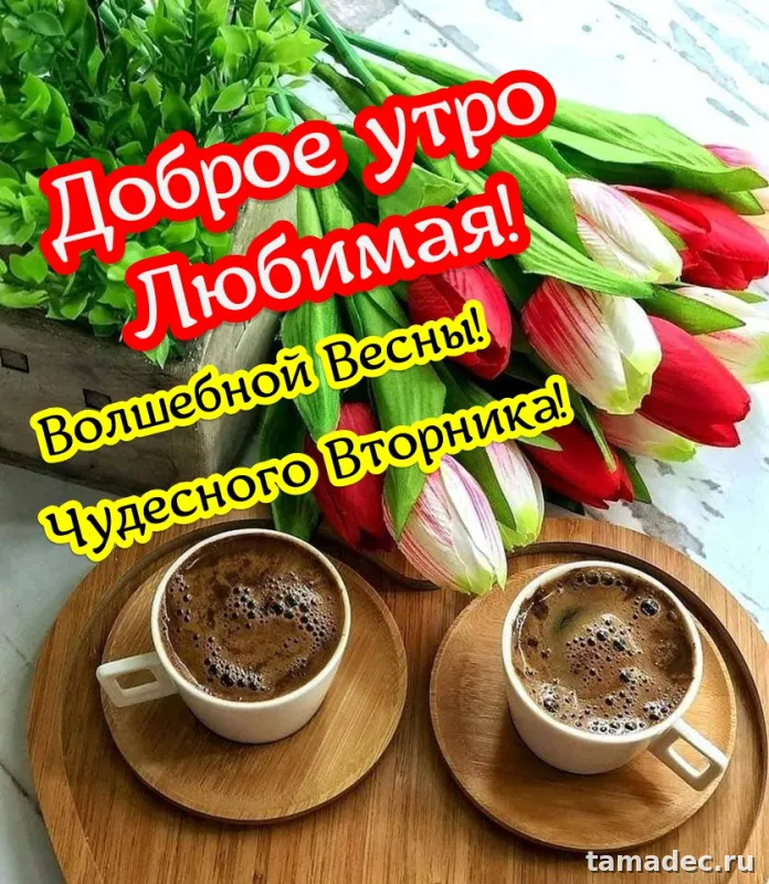 Картинки Доброго утра вторника. Доброе утро хорошего вторника