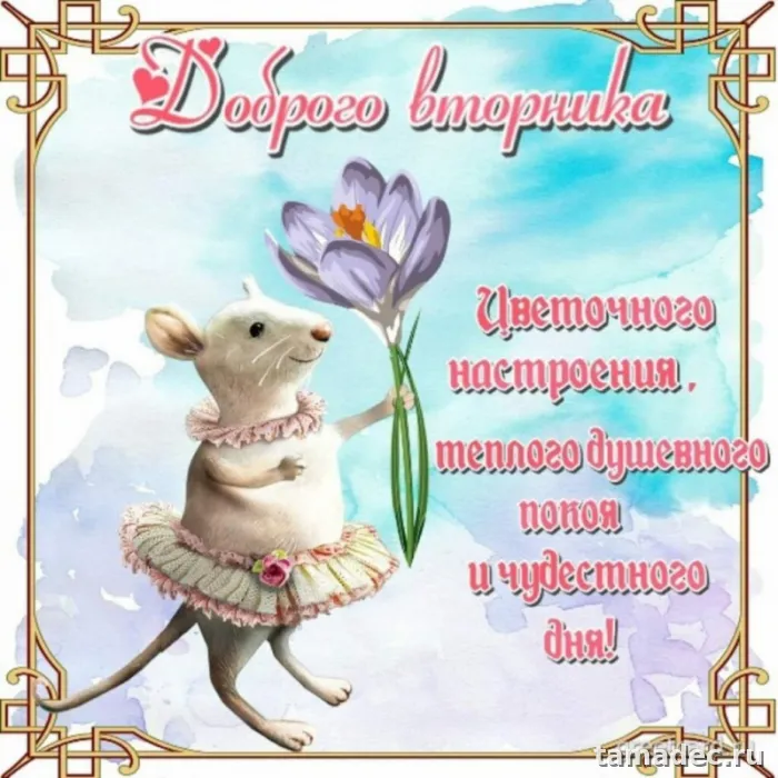 Картинки Доброго утра вторника. Доброе утро хорошего вторника