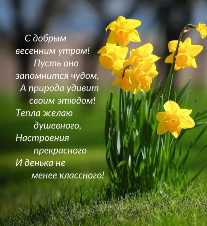 Красивые весенние картинки Доброго утра. Картинки Доброе утро весна