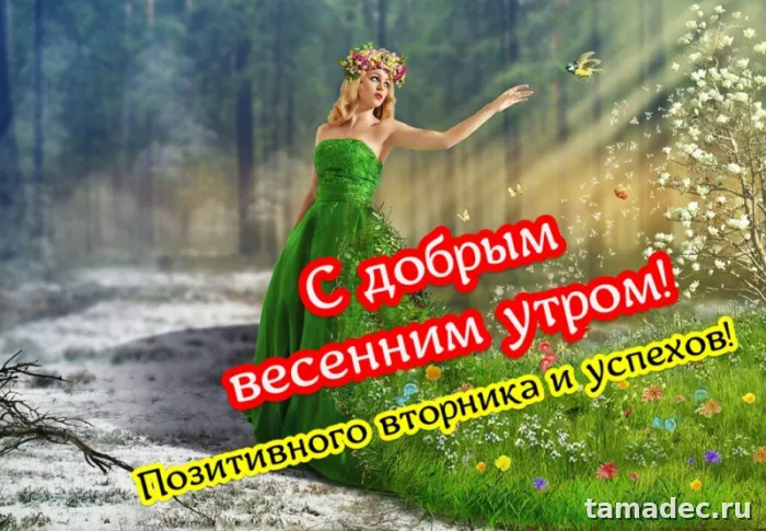 Картинки Доброго утра вторника. Доброе утро хорошего вторника