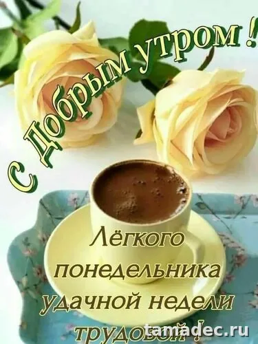 Картинки доброе утро понедельника. Доброе утро понедельника картинки позитивные