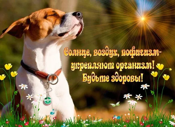 Картинки Доброго здоровья. Доброго здоровья картинки красивые