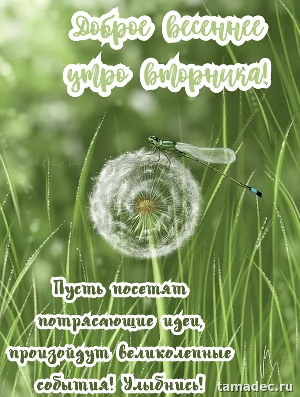 Картинки Доброго утра вторника. Доброе утро хорошего вторника