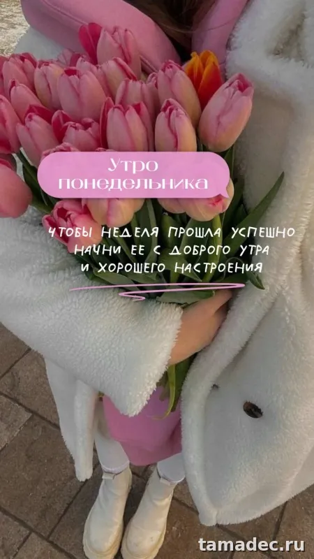 Картинки доброе утро понедельника. Доброе утро удачного понедельника картинки