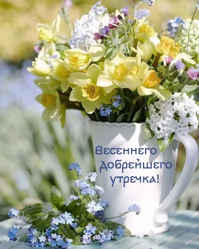Красивые весенние картинки Доброго утра. Картинки с добрым утром весенние бесплатно