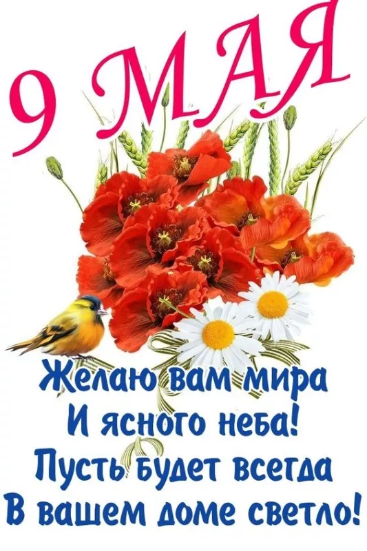  Открытка с 9 мая . Картинки с Днем победы
