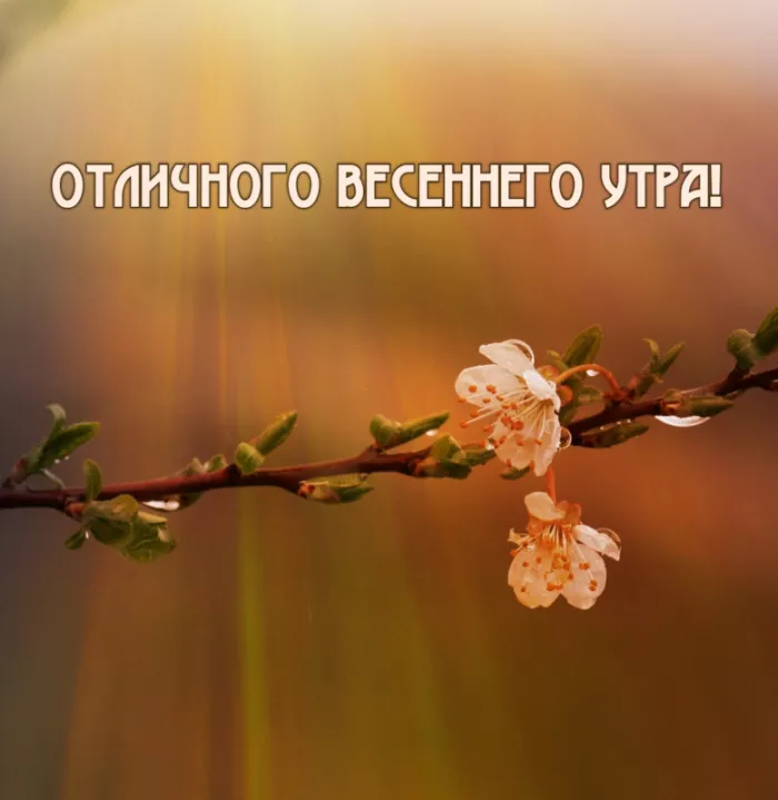 Красивые весенние картинки Доброго утра. Картинки с добрым утром весенние бесплатно