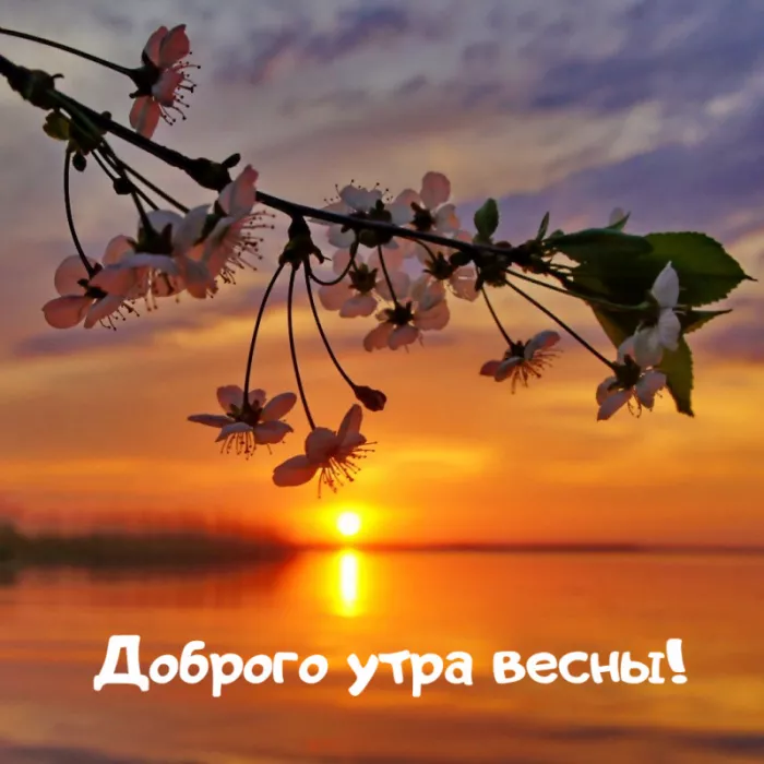 Красивые весенние картинки Доброго утра. Картинки с добрым утром весенние бесплатно