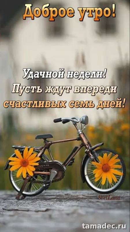Картинки доброе утро понедельника. Доброе утро удачного понедельника картинки