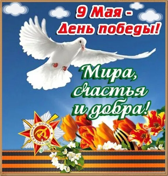  Открытка с 9 мая . Победа 9 мая картинки бесплатные