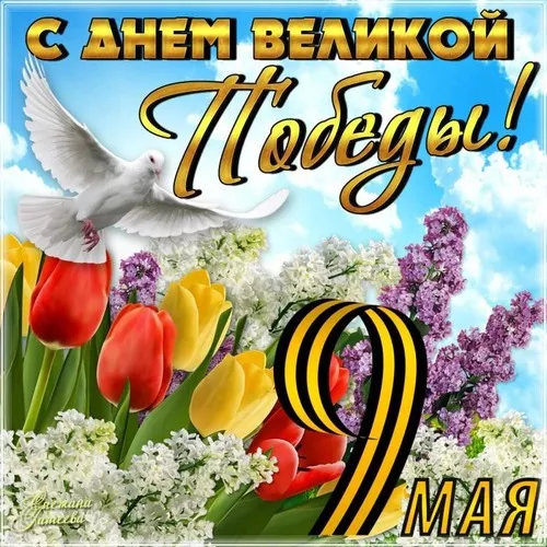  Открытка с 9 мая . Победа 9 мая картинки бесплатные