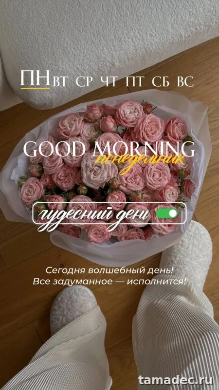 Картинки доброе утро понедельника. Доброе утро удачного понедельника картинки