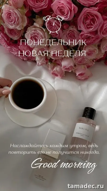 Картинки доброе утро понедельника. Доброе утро удачного понедельника картинки
