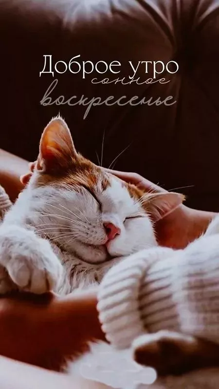 Картинки Доброе утро воскресенья