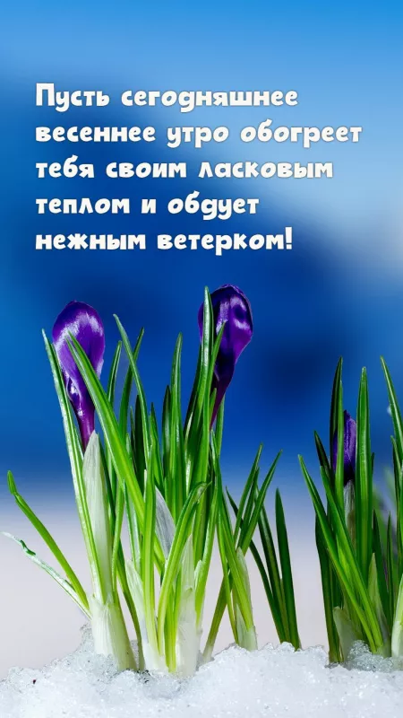 Красивые весенние картинки Доброго утра. Картинки с Добрым утром и днем весенние