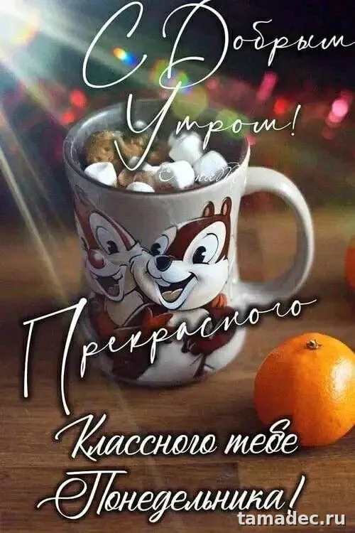 Картинки доброе утро понедельника. Доброе утро удачного понедельника картинки