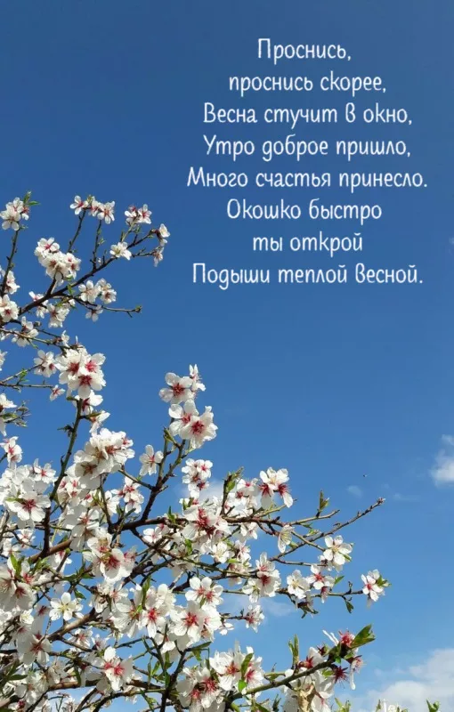 Красивые весенние картинки Доброго утра. Картинки с добрым утром весенние бесплатно