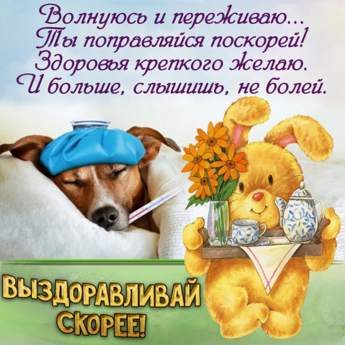Картинки Доброго здоровья. Картинки доброго здоровья счастья