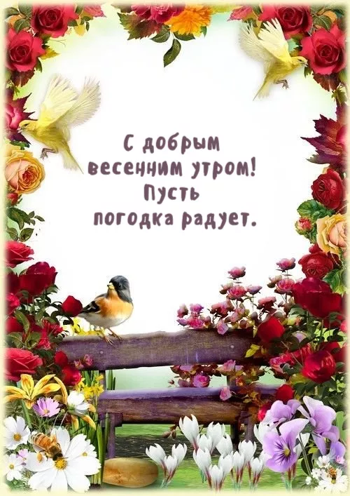 Красивые весенние картинки Доброго утра. Картинки доброе утро весеннего настроения