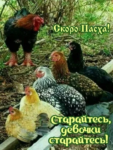 Картинки с Пасхой. Картинки с пасхой христовой