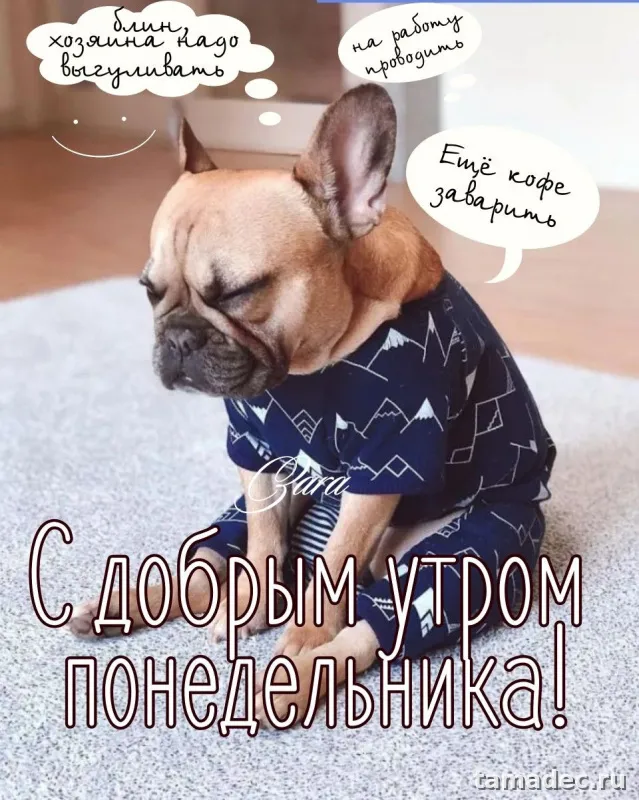 Картинки доброе утро понедельника. Доброе утро удачного понедельника картинки