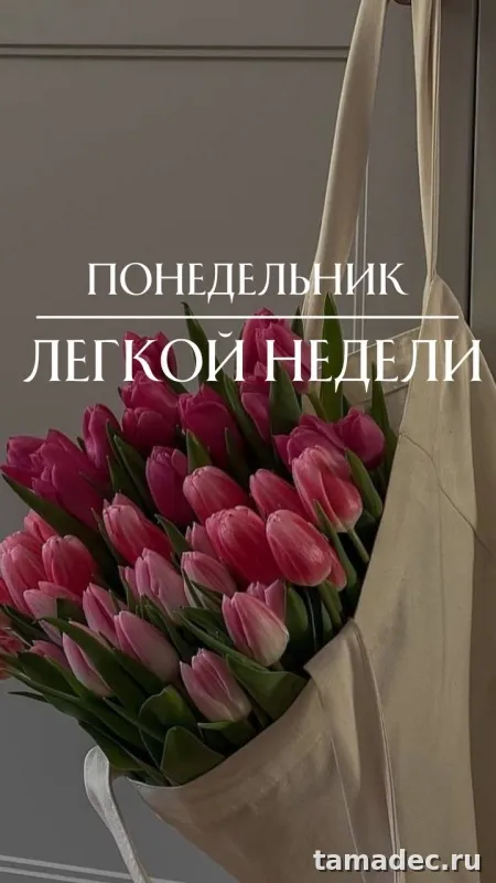 Картинки доброе утро понедельника. Доброе утро удачного понедельника картинки