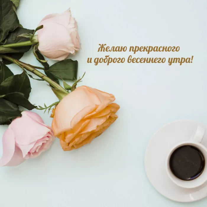 Красивые весенние картинки Доброго утра. Картинки с добрым утром весенние бесплатно
